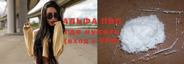 стафф Алексин
