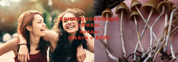 a pvp Богородицк