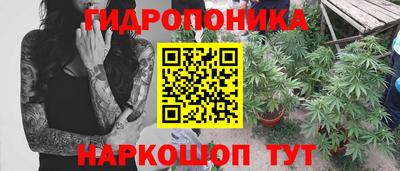 тгк Гусев