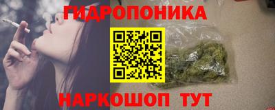 PSILOCYBIN Гусиноозёрск