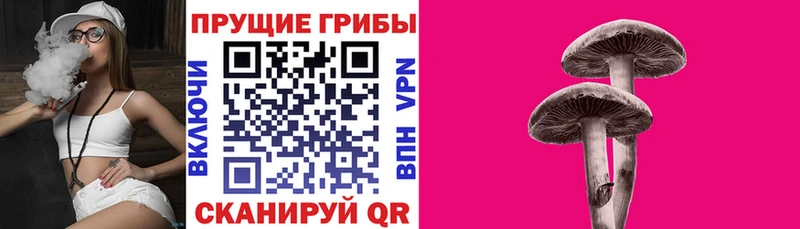 Галлюциногенные грибы Magic Shrooms omg как войти Михайловск где найти наркотики