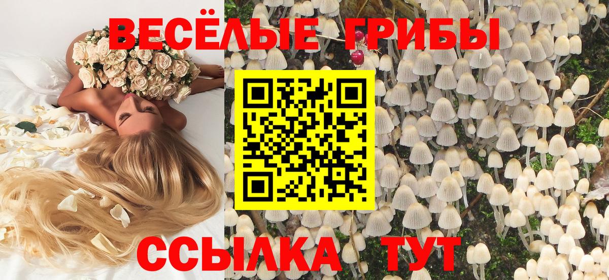Галлюциногенные грибы ЛСД Михайловск