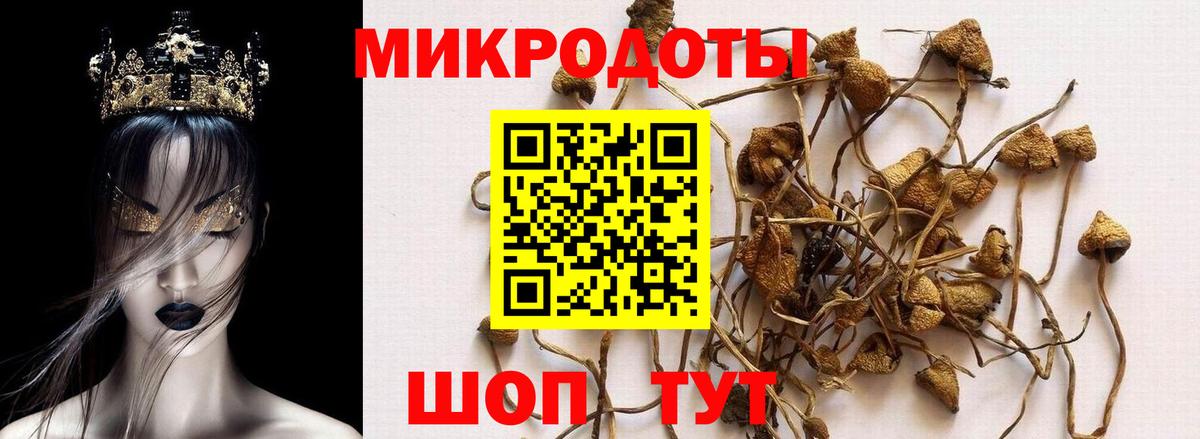 Михайловск  Галлюциногенные грибы Magic Shrooms  наркошоп  Вход с VPN 