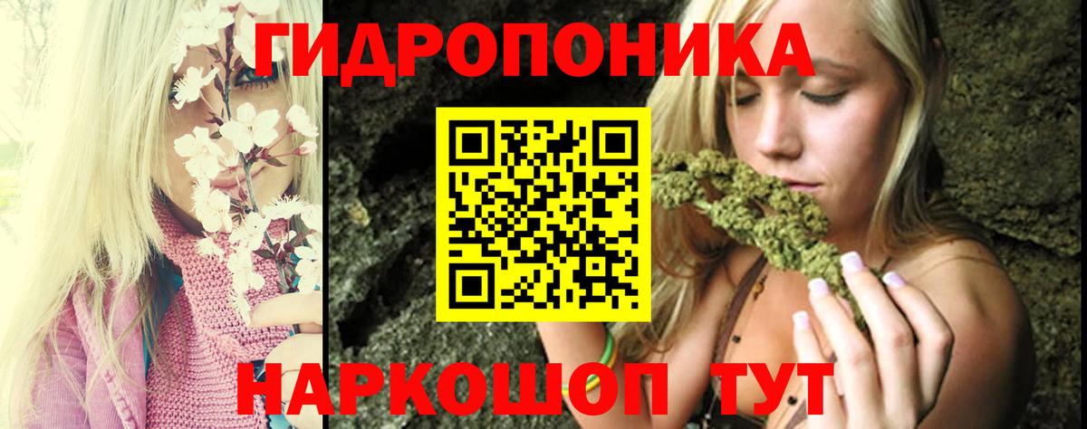 Михайловск  Шишки марихуана конопля  Бошки марихуана White Widow  Бошки Шишки семена  Вход с VPN 